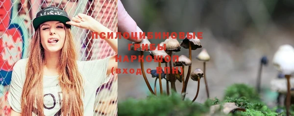 гашиш Арсеньев